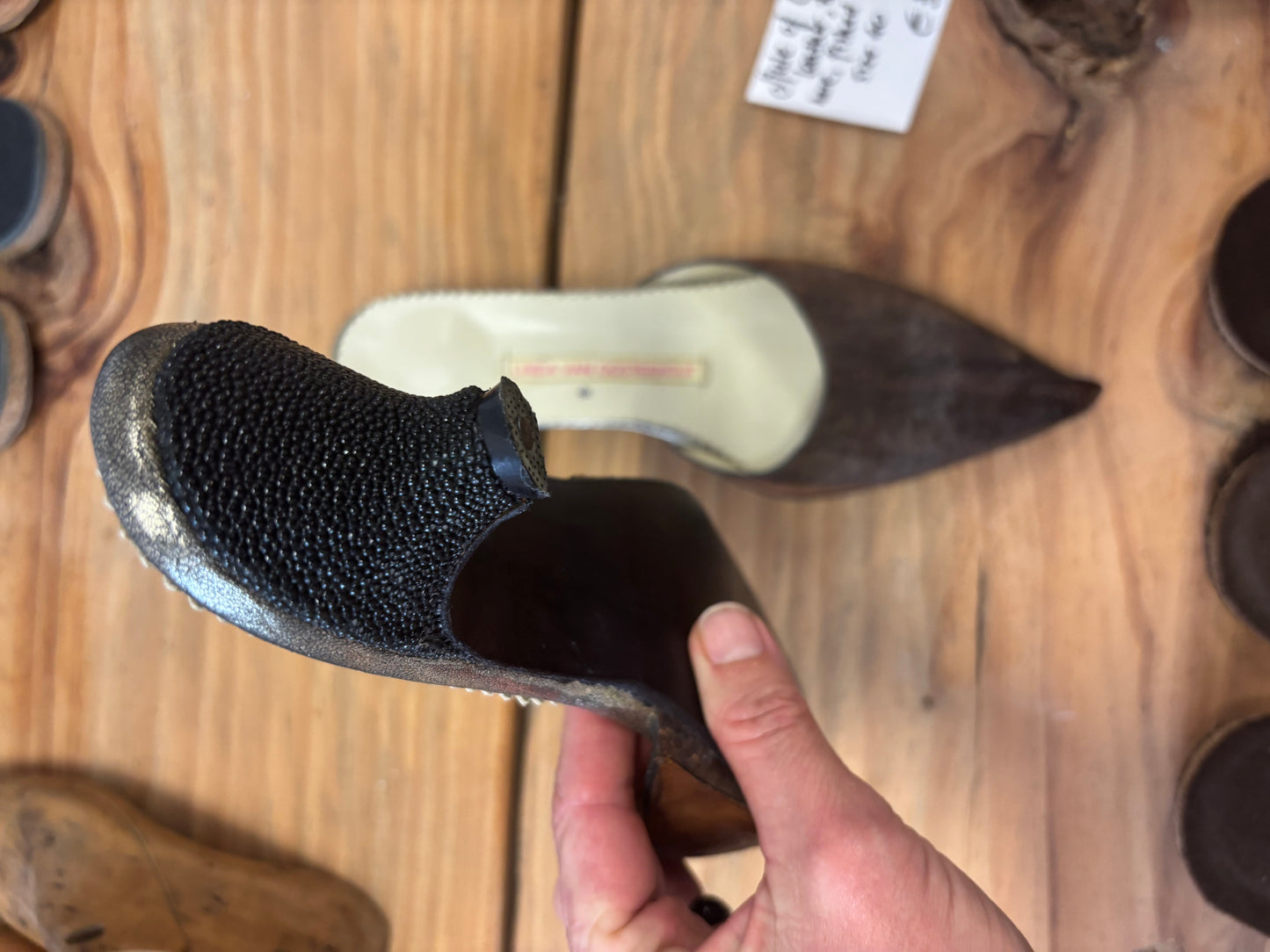 Conger Eel Fish Leather Pointy Mules with Stingray Heel
